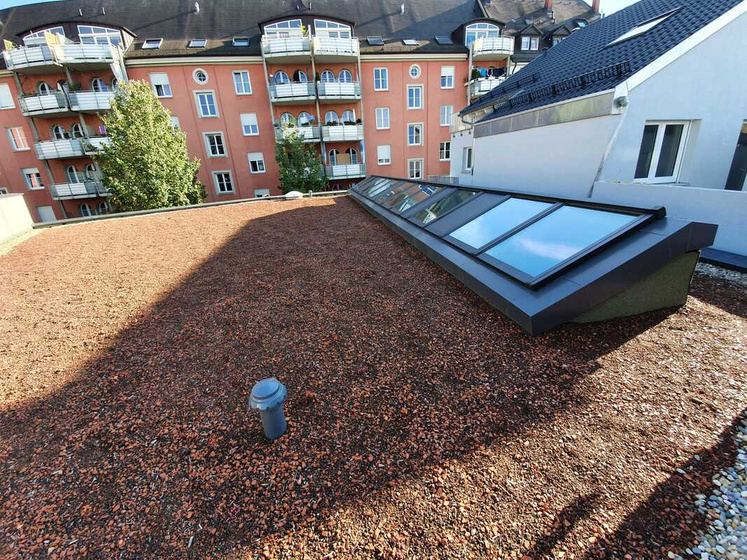 Neubau eines Einfamilienhauses in Holzständerbauweise, Freiburg – Bild 2